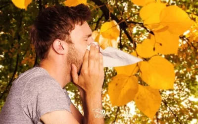 Can Allergies Cause Tooth Pain?